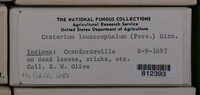 Image Associated With the Occurence